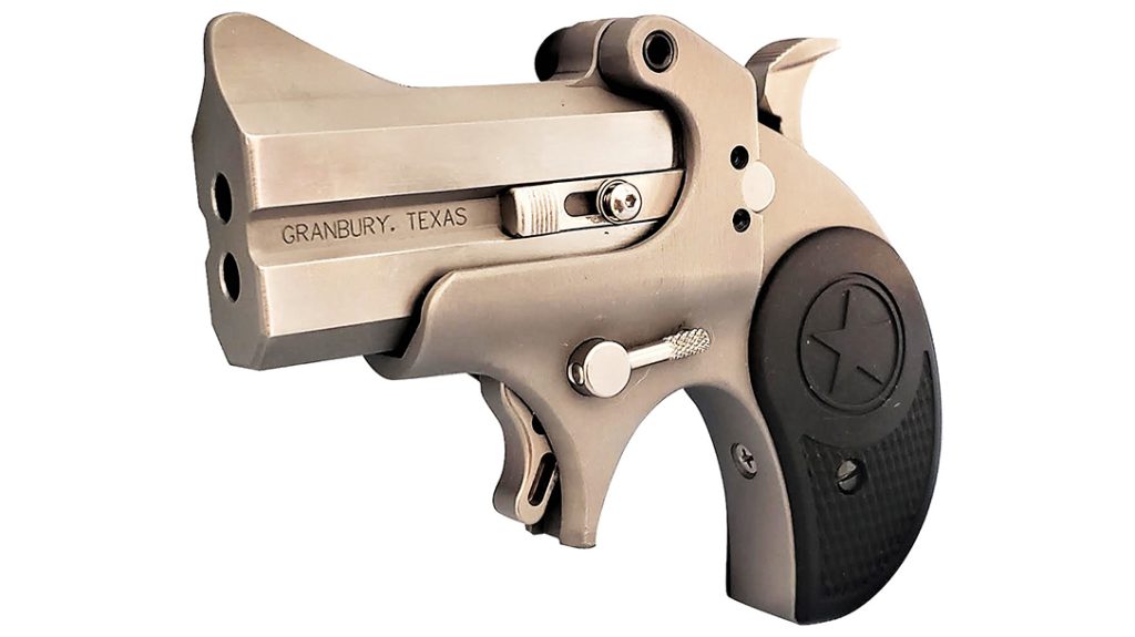 Bond Arms Rawhide 22